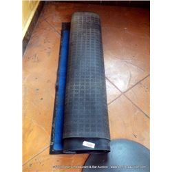 LOT: FLOOR MATS 2X MONEY