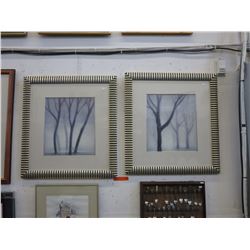 2 Framed prints