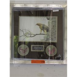 Robert Bateman print: "Red Tailed Hawk"