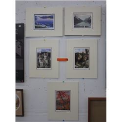 5 Matted unframed prints