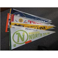 13 Sports Pennants