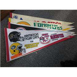 12 Sports Pennants