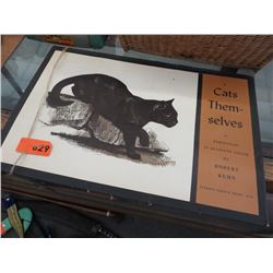 Robert  Kuhn duotone portfolio "Cats Themselves"
