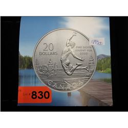 2014 Canadian $20 Fine Silver coin - "Summer"
