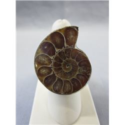 Large 1.25" round Ammonite ring