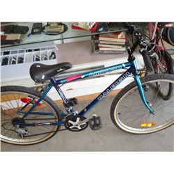 12 Speed Raleigh Ambush bicycle