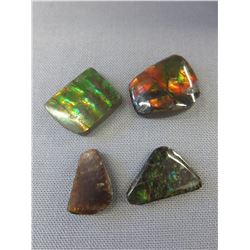 4 Canadian free form Ammolite gemstones