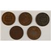 Image 2 : (5) INDIAN HEAD CENTS (75, 76, 01, 02, 07)