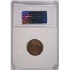 Image 4 : 1857 FLYING EAGLE CENT, PCI MS-63 NICE