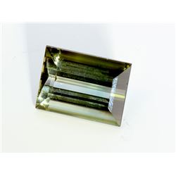 2 ct & up Green Tourmaline Rectangular (2.56)