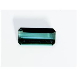 1 ct & up Green Tourmaline Octagon (1.56)