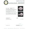 Image 3 : 14KT White Gold 1.22 ctw Diamond Ring
