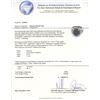 Image 3 : 14KT White Gold 5.59 ctw Black Diamond Ring