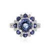 Image 1 : 14KT White Gold 2.49 ctw Tanzanite, Sapphire and Diamond Ring