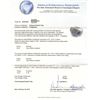 Image 3 : 14KT White Gold 6.17 ctw Black Diamond Ring