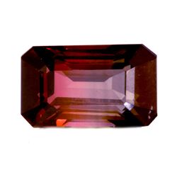 19.83 ct  Natural Bi-Colour / Multicolour Tourmaline