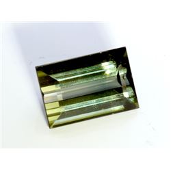 10 ct & up Green Tourmaline Rectangular (10.33)