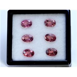 13.33 ct Pink Tourmaline Oval 6Pcs (8.9 - 9 x 7 x 5mm)