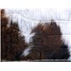 Image 2 : TEXTURED ANIMAL SKIN/HIDE