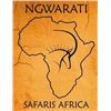 Image 4 : Ngwarati Safaris Africa: 7 Nights/6 Days Hunting for 2 Hunters/2 Non-hunters