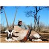 Image 2 : Tholo Safaris Botswana: 7 Day/8 Night Plainsgame Hunt for 1 hunter/1 non-hunter
