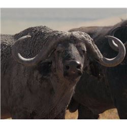 Wintershoek Safaris: 11 Nights/10 Days Hunting for 2 Individuals