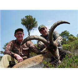 Hunt Trip Spain: 4 Days of Big Game Hunting in NE Spain for 1 Hunter and 3 Days sightseeing for non-