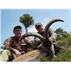Image 1 : Hunt Trip Spain: 4 Days of Big Game Hunting in NE Spain for 1 Hunter and 3 Days sightseeing for non-