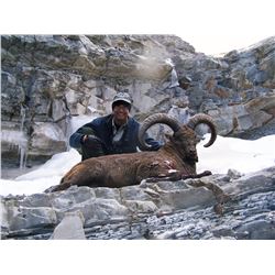 AR Hunting Consultants: 8 Day/6 Night for 1 Dagestan Tur in Baku Azerbaijan for 1 Hunter