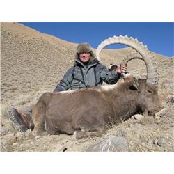 AR Hunting Consultants: 8 Day/6 Night for 1 Mid Asian Ibex in Bishkek, Kyrgyzstan for 1 Hunter