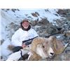 Image 1 : AR Hunting Consultants: 12 Days with 10 Days Hunting for Marco Polo Sheep in Kyrgyzstan