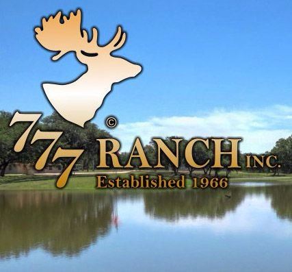 777 Ranch: 2 Night/3 Day Exotic Hunting for 2 Hunters