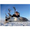 Image 2 : Canada North Outfitting: 4 Day Muskox & Caribou Hunt for 1 Hunter on Victoria Island