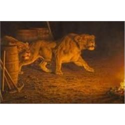 Brian Jarvi: "Man eaters of Taso" 20 X30 Framed Canvas Print