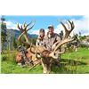 Image 1 : Link's Wild Safaris & Wilderness Quest New Zealand: 5 Day Red Stag Hunt for 1 Hunter/1 Non Hunter