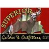Image 1 : Superior Guides & Outfitters: 6 Days Trophy Whitetail Muzzleloader Hunt in Wisconsin for 1 Hunter