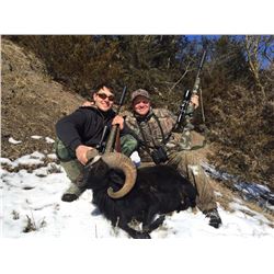Comstock Premier Lodge: 3 Night/2 Day Youth Management Tage for Big Horn/Cross Ram Hunt for 1