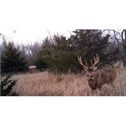 Reinemann's Hunting Lodge: 5 Day Free Range Whitetail hunt for 1 hunter in Southeast Iowa