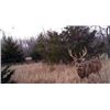 Image 1 : Reinemann's Hunting Lodge: 5 Day Free Range Whitetail hunt for 1 hunter in Southeast Iowa