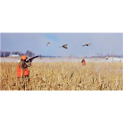 Extreme Pheasant Outfitters, LLC: 3 Day/4 Night Pheasant Hunt for 6 People