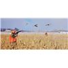 Image 1 : Extreme Pheasant Outfitters, LLC: 3 Day/4 Night Pheasant Hunt for 6 People
