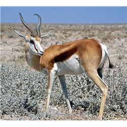 Wintershoek Safaris: 11 Days/10 Nights for 2 Individuals