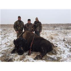 Ides Guides & Buffalo Hides - Trophy Bison Hunt for 1 Hunter in South Dakota
