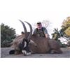 Image 3 : Africa Maximum Safaris Ten Day Roan & Sable Hunt for 2 Hunters and 2 Non Hunters