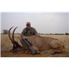 Image 4 : Africa Maximum Safaris Ten Day Roan & Sable Hunt for 2 Hunters and 2 Non Hunters