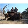 Image 7 : Africa Maximum Safaris Ten Day Roan & Sable Hunt for 2 Hunters and 2 Non Hunters