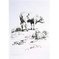 Hill, Robert, Cattle, In Groups for the Embellishment of Landscape, [London, n.p.], 1816, folio (...