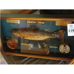 Rainbow Trout In Display Case