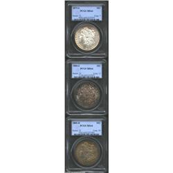 1879-S S$1 MS64 PCGS, deep golden-brown, violet, and aqua patina, lustrous with an immaculate revers