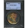 Image 1 : 1880-S S$1 MS65 PCGS. The obverse is vibrantly toned in golden shades with rich green and red accent